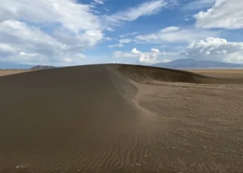 Shifting Sands, Tanzania